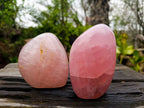 Polished Star Rose Quartz Standing Free Forms x 2 From Madagascar - Toprock Gemstones and Minerals 