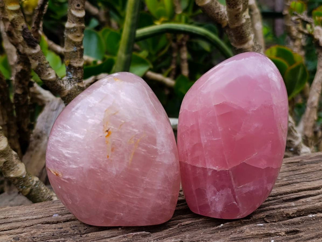 Polished Star Rose Quartz Standing Free Forms x 2 From Madagascar - Toprock Gemstones and Minerals 