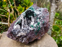 Natural Ball Malachite On Dolomite Matrix Specimen x 1 From Kambove, Congo