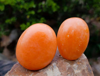 Polished Orange Twist Calcite Palm Stones x 24 From Madagascar - Toprock Gemstones and Minerals 