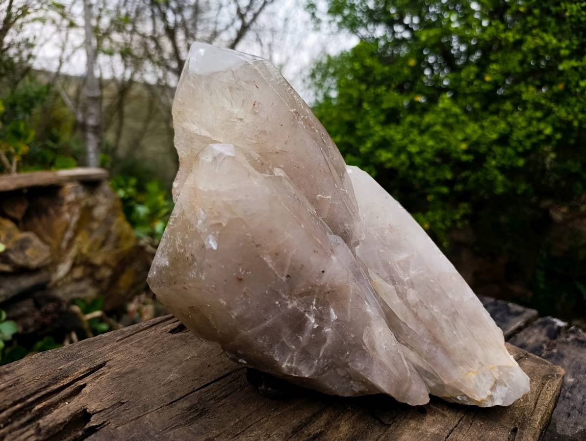 Polished Smokey Quartz Crystal x 1 From Angola - Toprock Gemstones and Minerals 