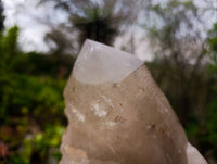 Polished Smokey Quartz Crystal x 1 From Angola