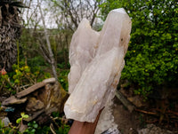 Polished Smokey Quartz Crystal x 1 From Angola