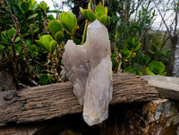 Polished Smokey Quartz Crystal x 1 From Angola