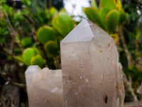 Polished Smokey Quartz Crystal x 1 From Angola