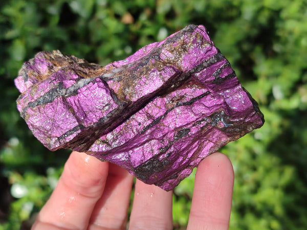Natural Metallic Purpurite Cobbed Specimens x 6 From Erongo, Namibia