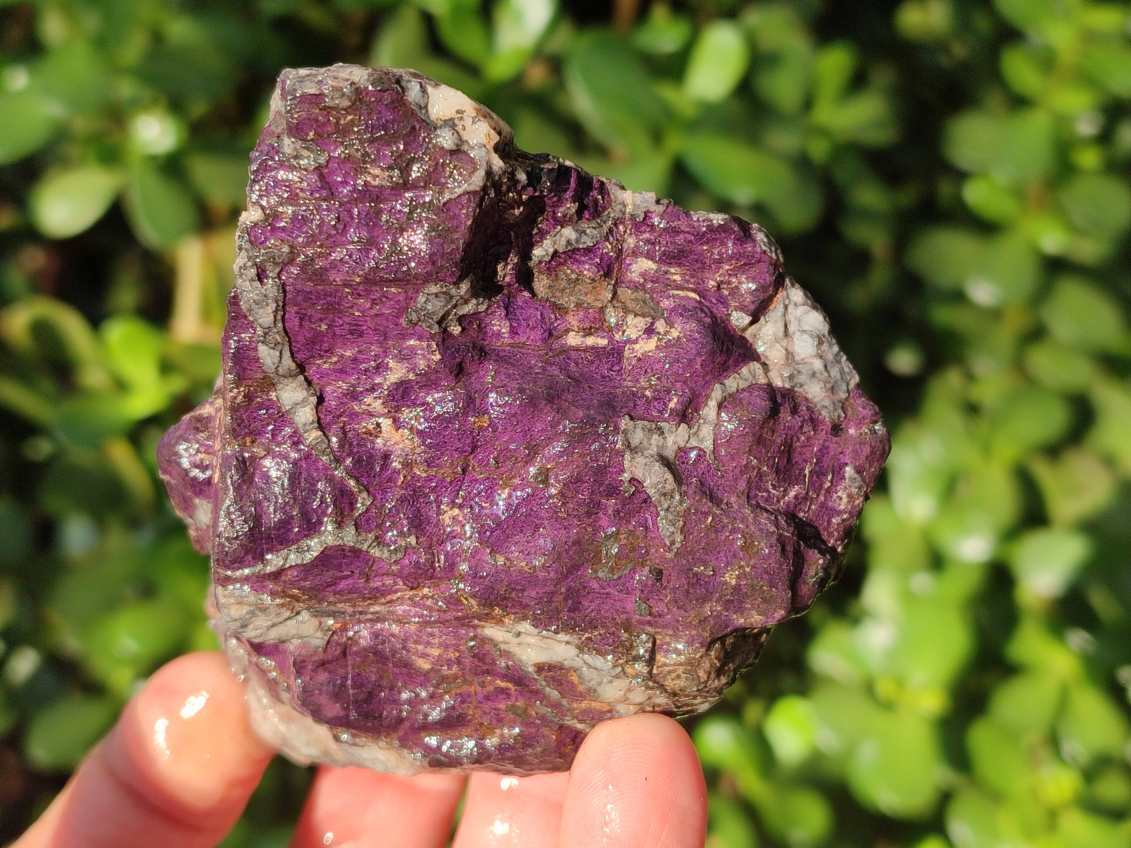 Natural Metallic Purpurite Cobbed Specimens x 6 From Erongo, Namibia - Toprock Gemstones and Minerals 