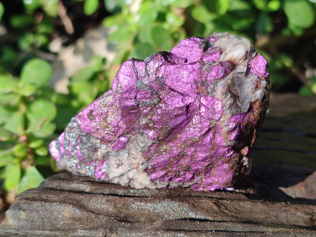 Natural Metallic Purpurite Cobbed Specimens x 6 From Erongo, Namibia - Toprock Gemstones and Minerals 