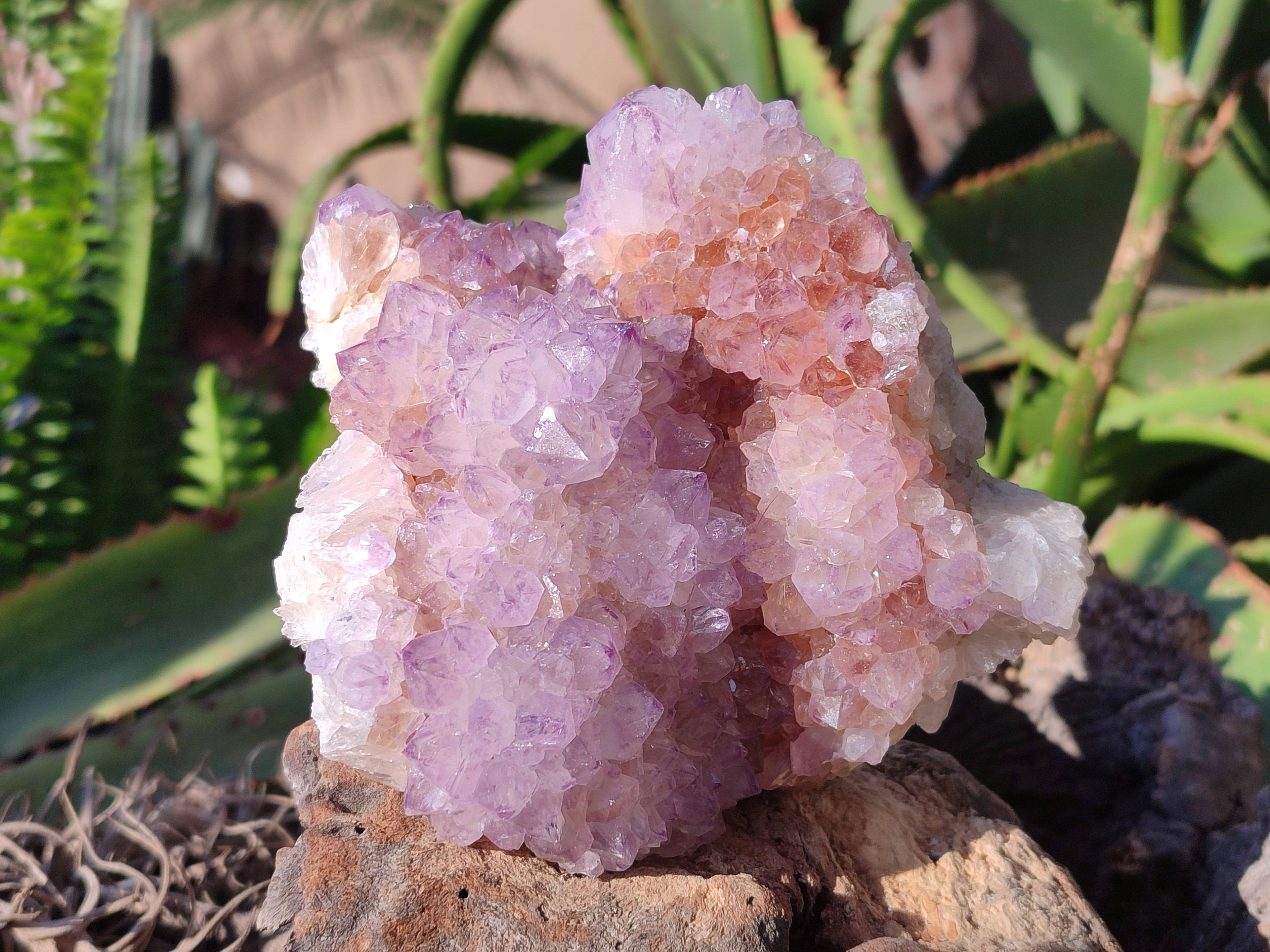 Natural Amethyst Spirit Quartz Clusters x 3 From South Africa - Toprock Gemstones and Minerals 