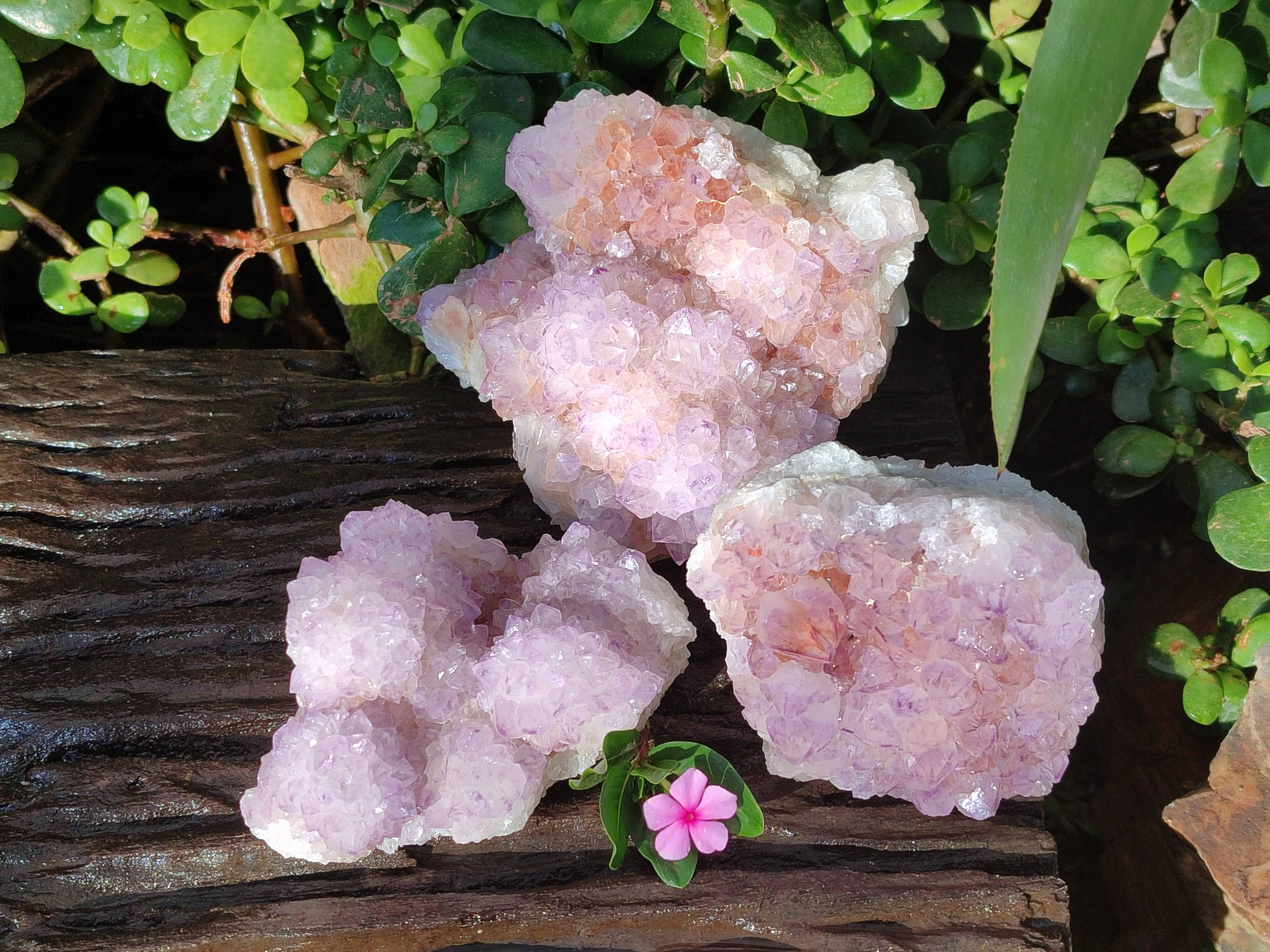 Natural Amethyst Spirit Quartz Clusters x 3 From South Africa - Toprock Gemstones and Minerals 
