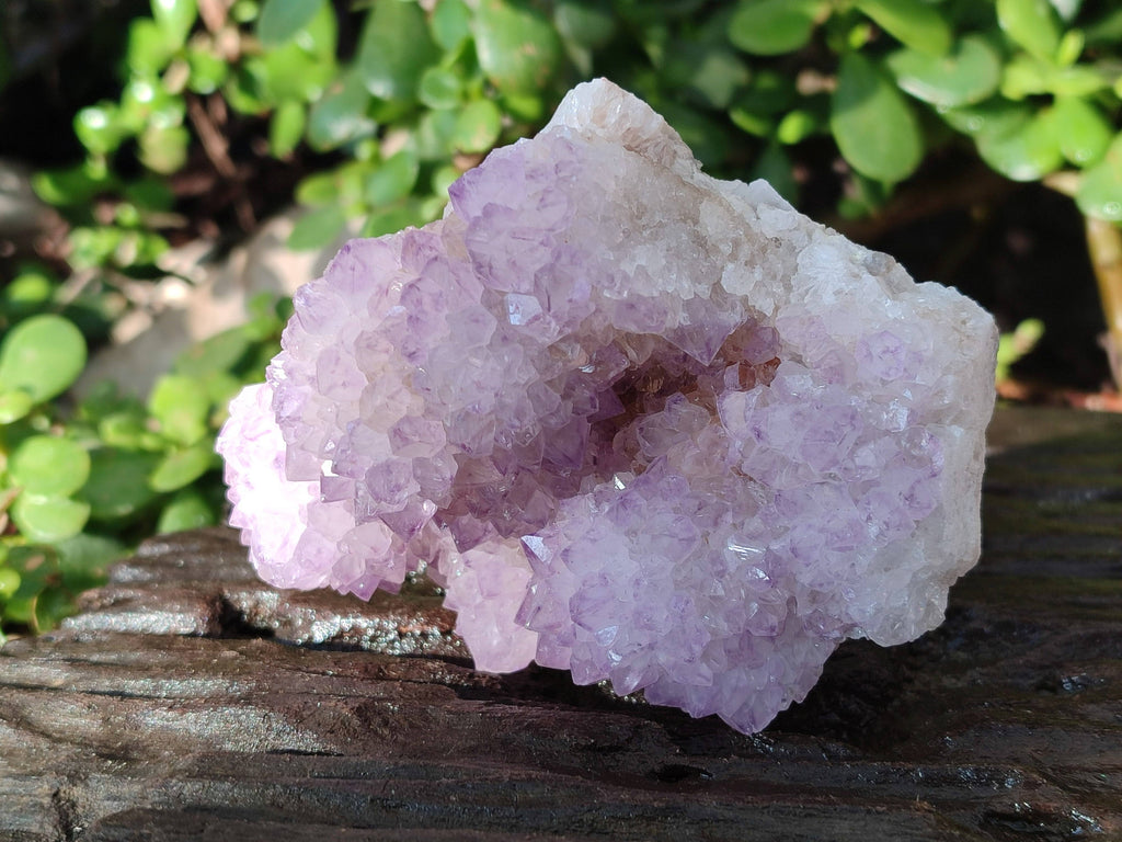 Natural Amethyst Spirit Quartz Clusters x 3 From South Africa - Toprock Gemstones and Minerals 
