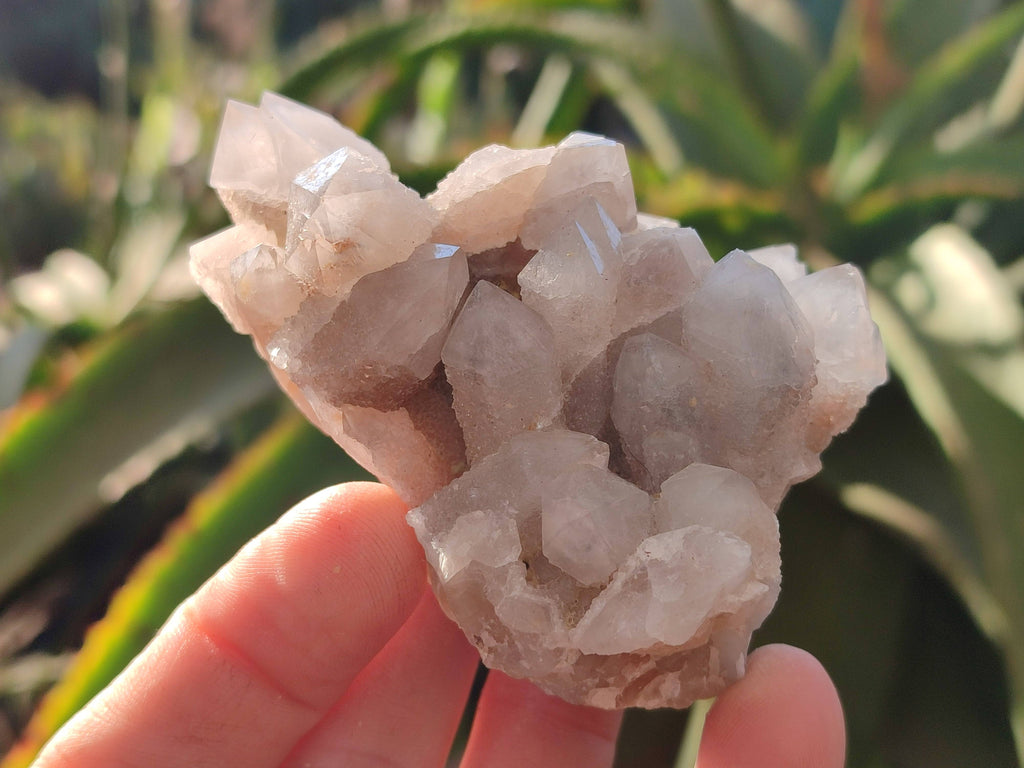 Natural Fairy Spirit Quartz Clusters x 6 From South Africa - Toprock Gemstones and Minerals 