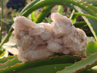 Natural Fairy Spirit Quartz Clusters x 6 From South Africa