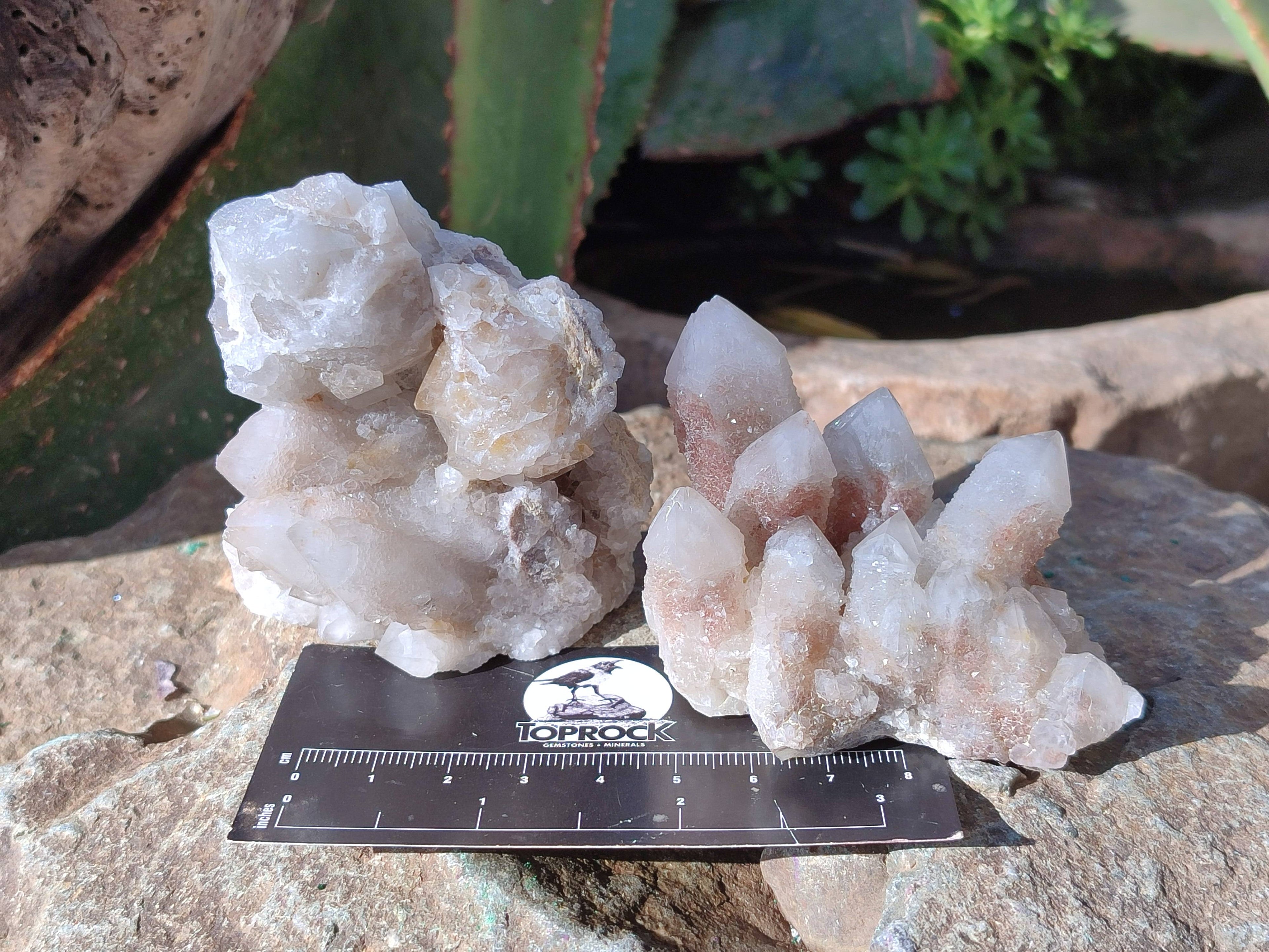 Natural Fairy Spirit Quartz Clusters x 6 From South Africa - Toprock Gemstones and Minerals 