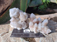 Natural Fairy Spirit Quartz Clusters x 6 From South Africa