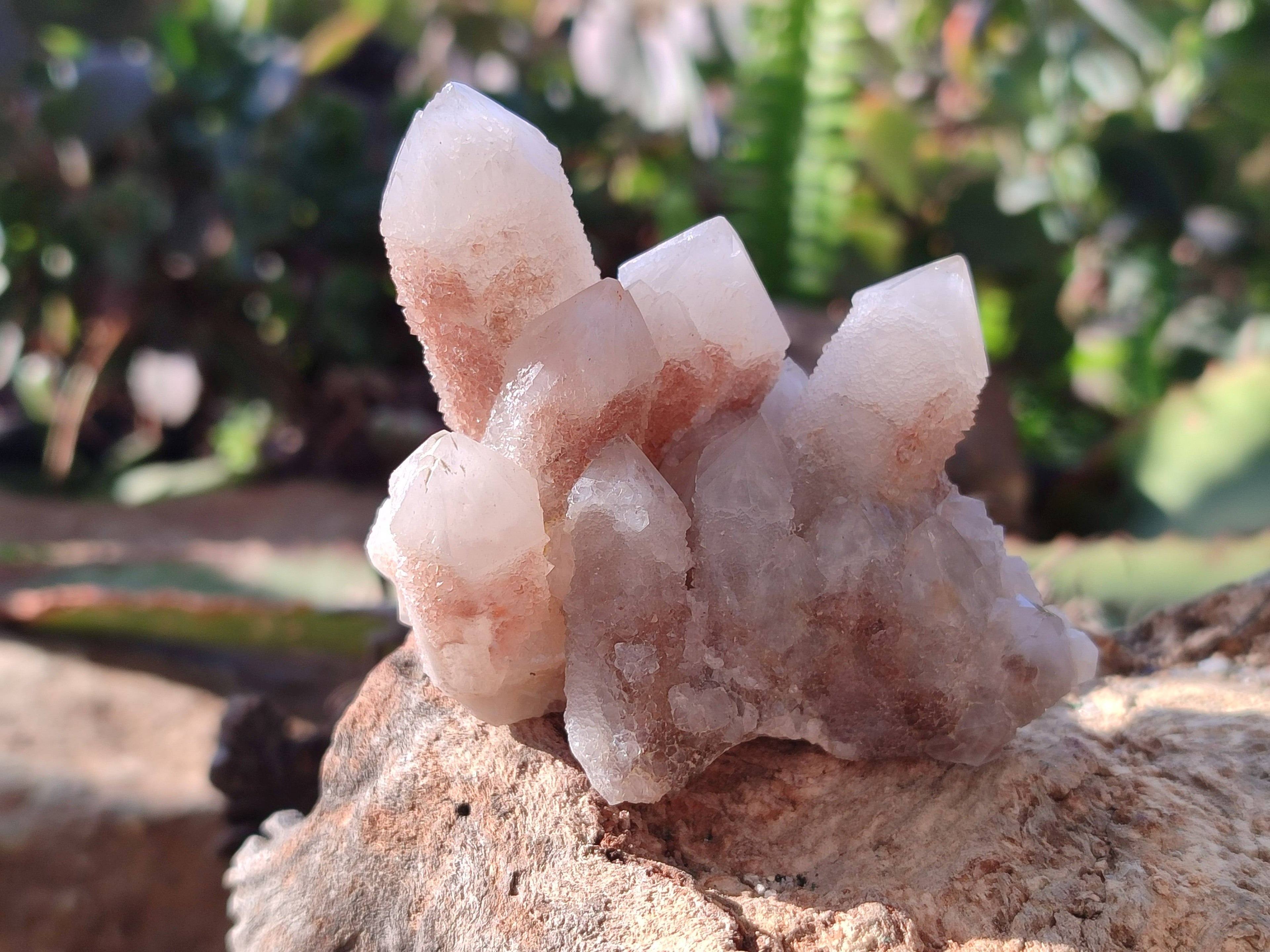 Natural Fairy Spirit Quartz Clusters x 6 From South Africa - Toprock Gemstones and Minerals 