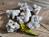 Natural Fairy Spirit Quartz Clusters x 6 From South Africa