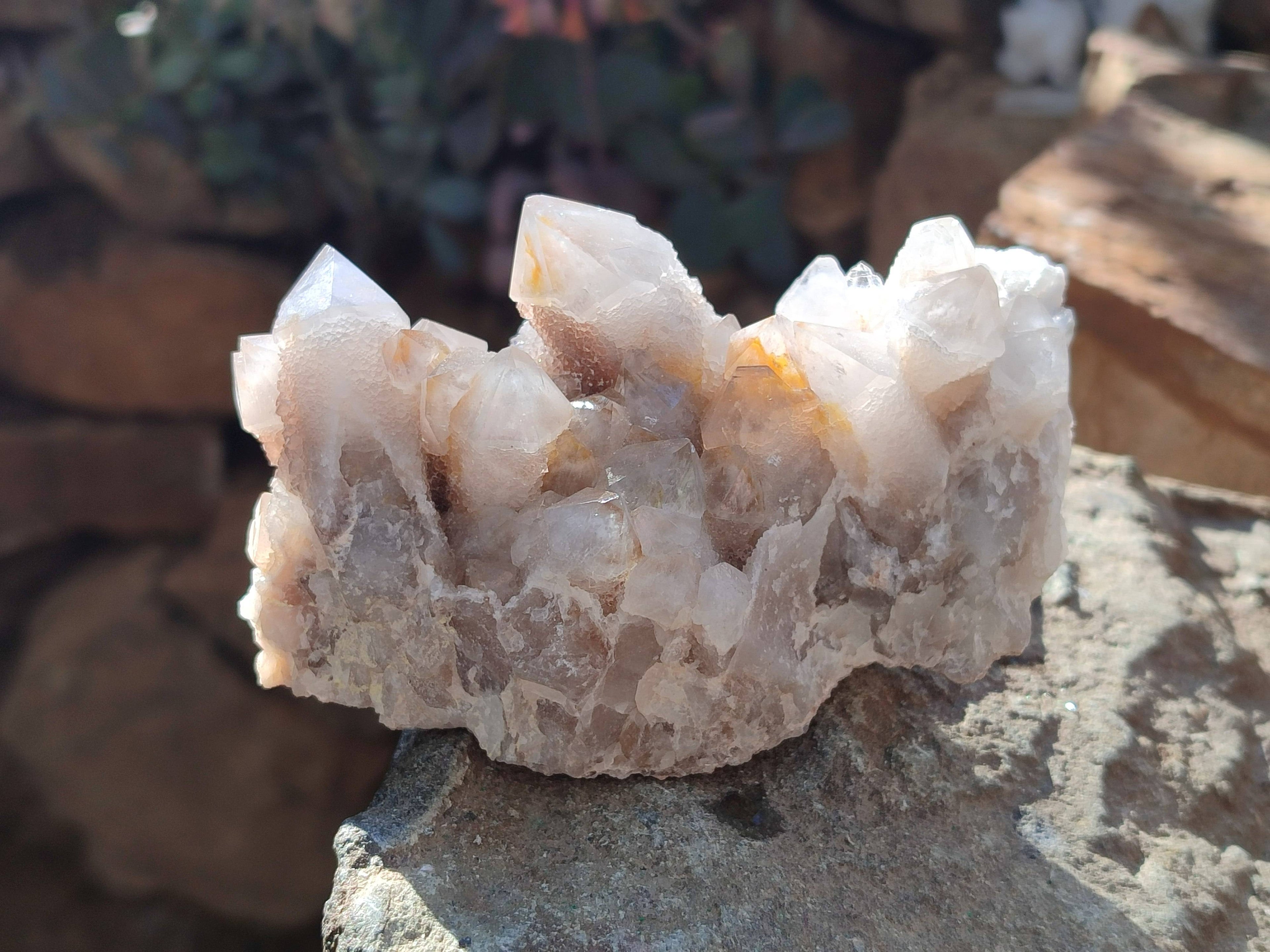 Natural Fairy Spirit Quartz Clusters x 6 From South Africa - Toprock Gemstones and Minerals 