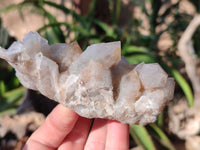 Natural Fairy Spirit Quartz Clusters x 6 From South Africa