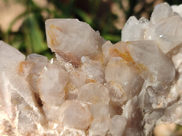 Natural Fairy Spirit Quartz Clusters x 6 From South Africa