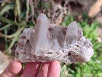 Natural Fairy Spirit Quartz Clusters x 6 From South Africa