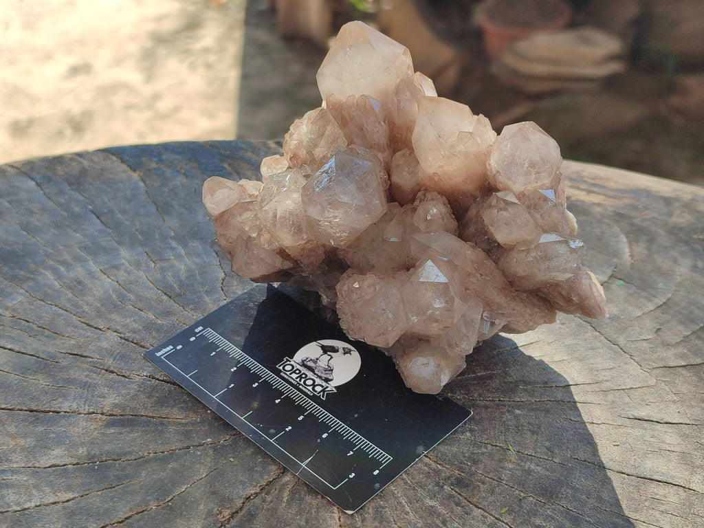 Natural Phantom Smokey Quartz Clusters x 2 From Luena, Congo - Toprock Gemstones and Minerals 