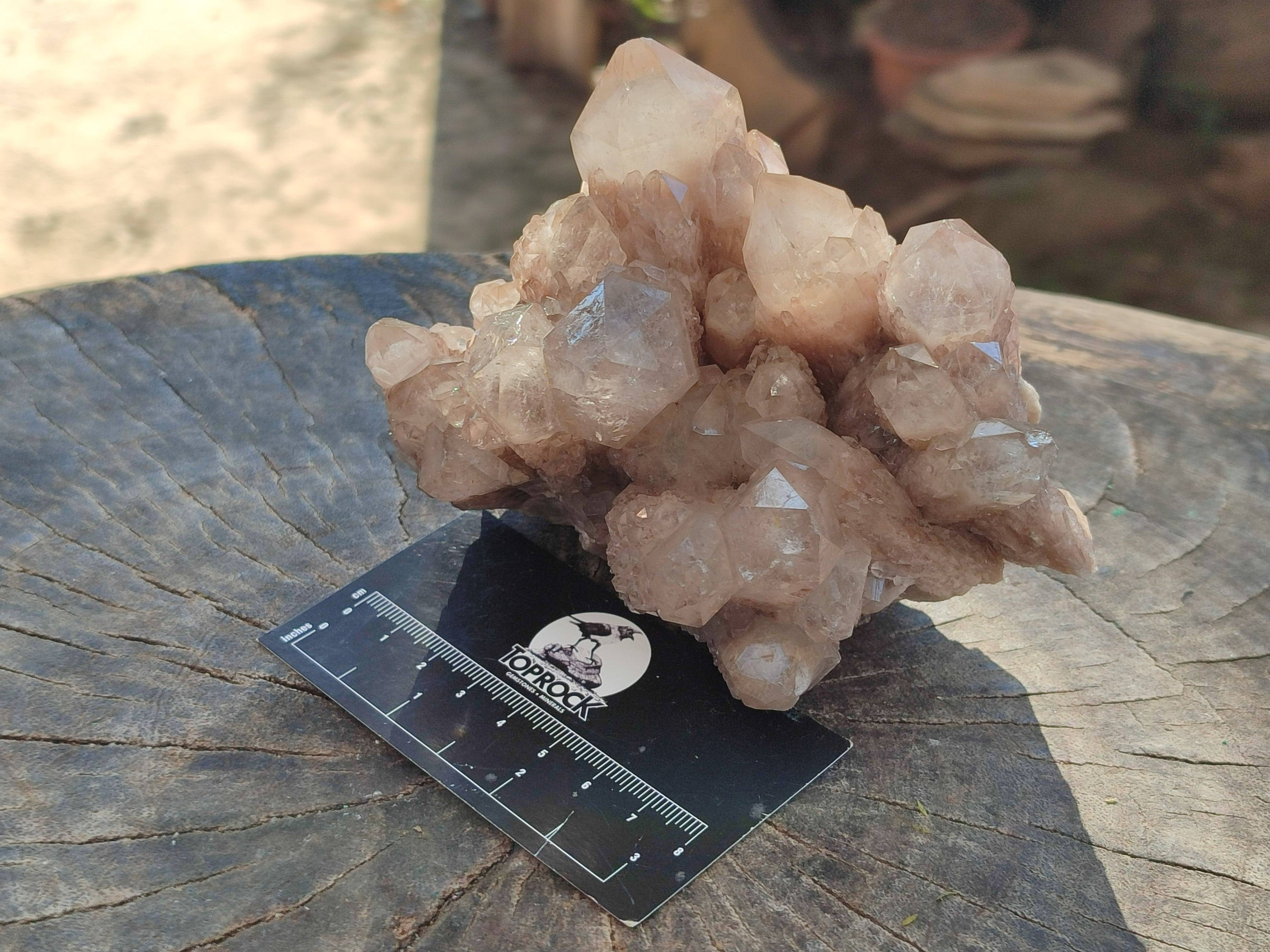 Natural Phantom Smokey Quartz Clusters x 2 From Luena, Congo - Toprock Gemstones and Minerals 