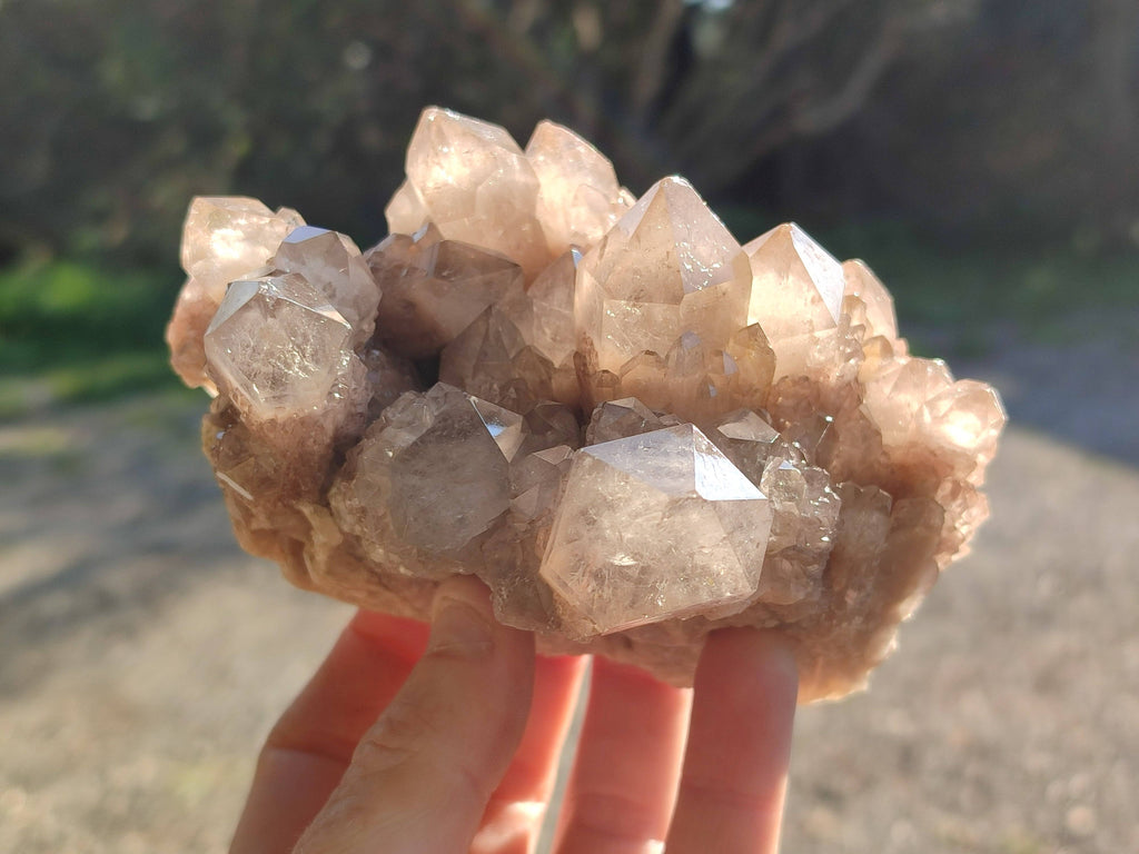 Natural Phantom Smokey Quartz Clusters x 2 From Luena, Congo - Toprock Gemstones and Minerals 