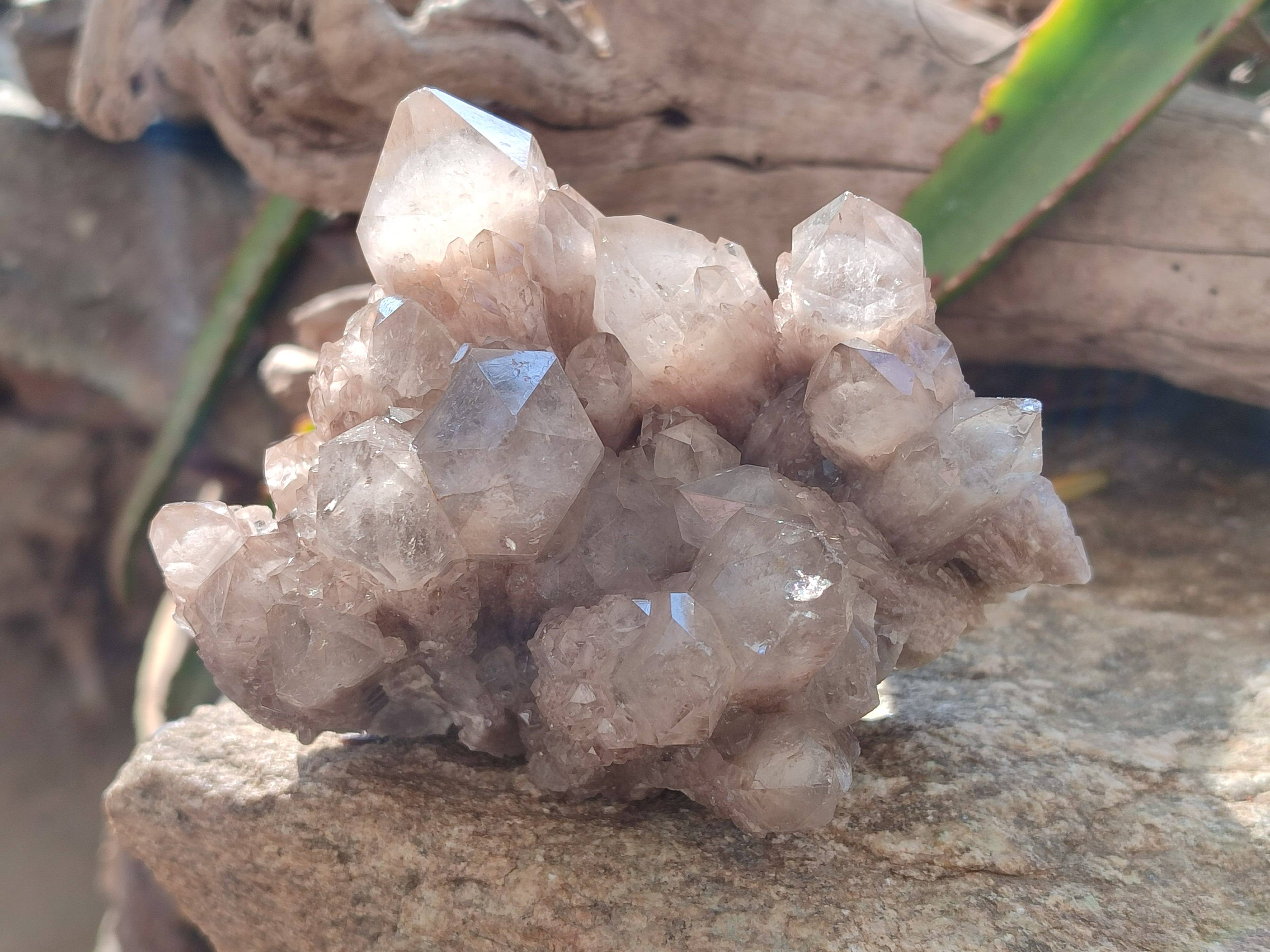 Natural Phantom Smokey Quartz Clusters x 2 From Luena, Congo - Toprock Gemstones and Minerals 