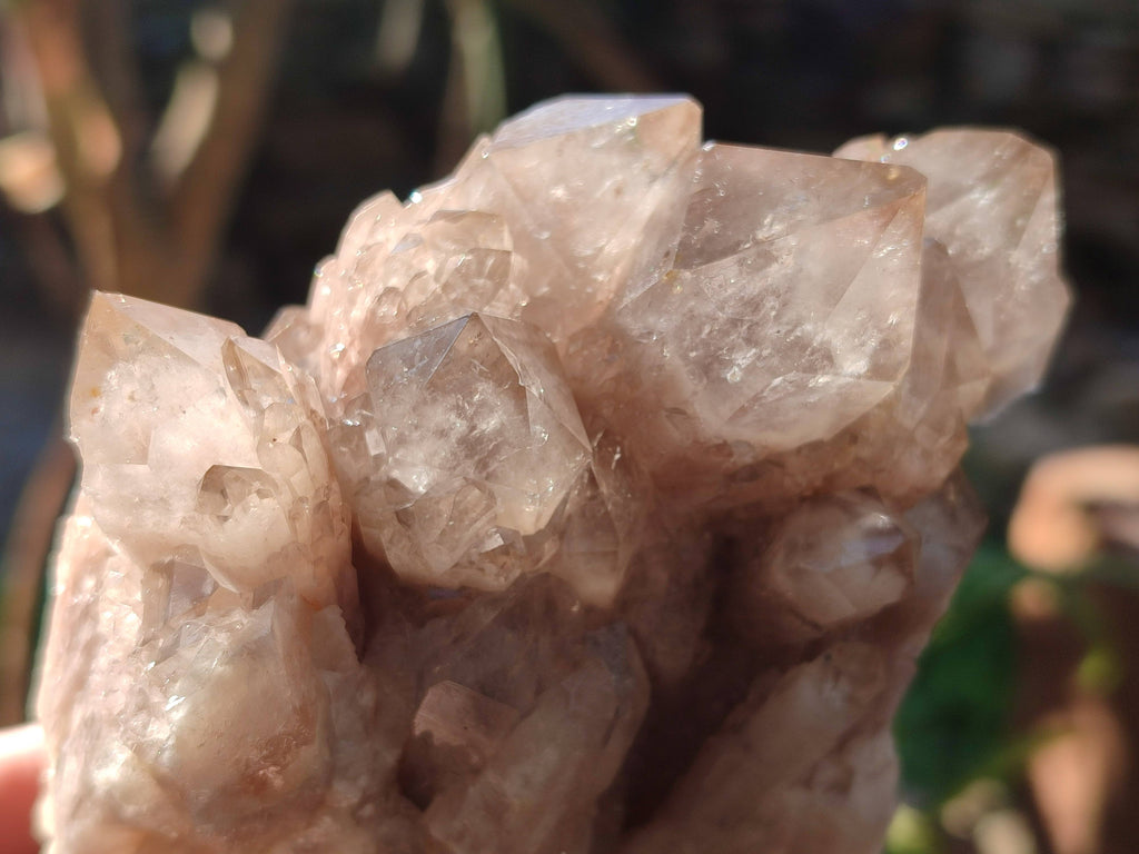 Natural Phantom Smokey Quartz Clusters x 2 From Luena, Congo - Toprock Gemstones and Minerals 