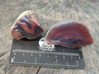 Polished On One Side Red Sashe River Agate Nodules x 20 From Zimbabwe - Toprock Gemstones and Minerals 