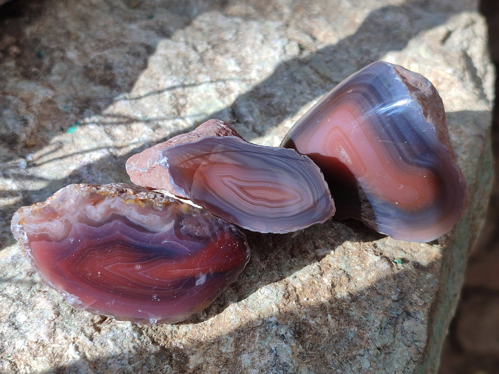 Polished On One Side Red Sashe River Agate Nodules x 20 From Zimbabwe - Toprock Gemstones and Minerals 