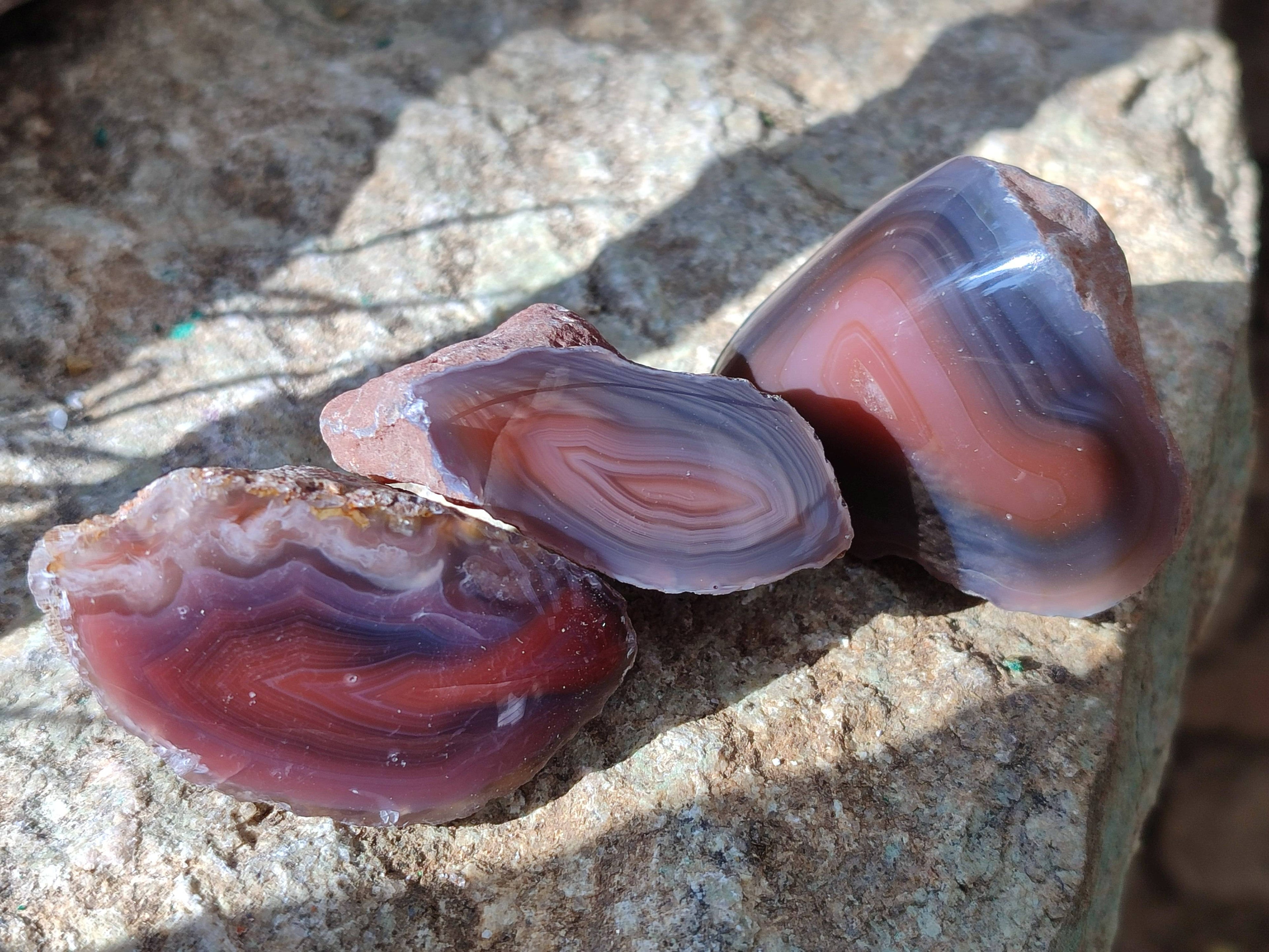 Polished On One Side Red Sashe River Agate Nodules x 20 From Zimbabwe - Toprock Gemstones and Minerals 