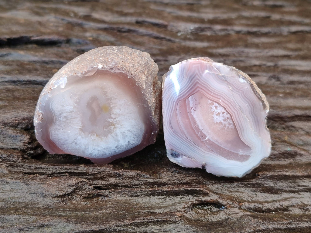 Polished On One Side Red Sashe River Agate Nodules x 20 From Zimbabwe - Toprock Gemstones and Minerals 