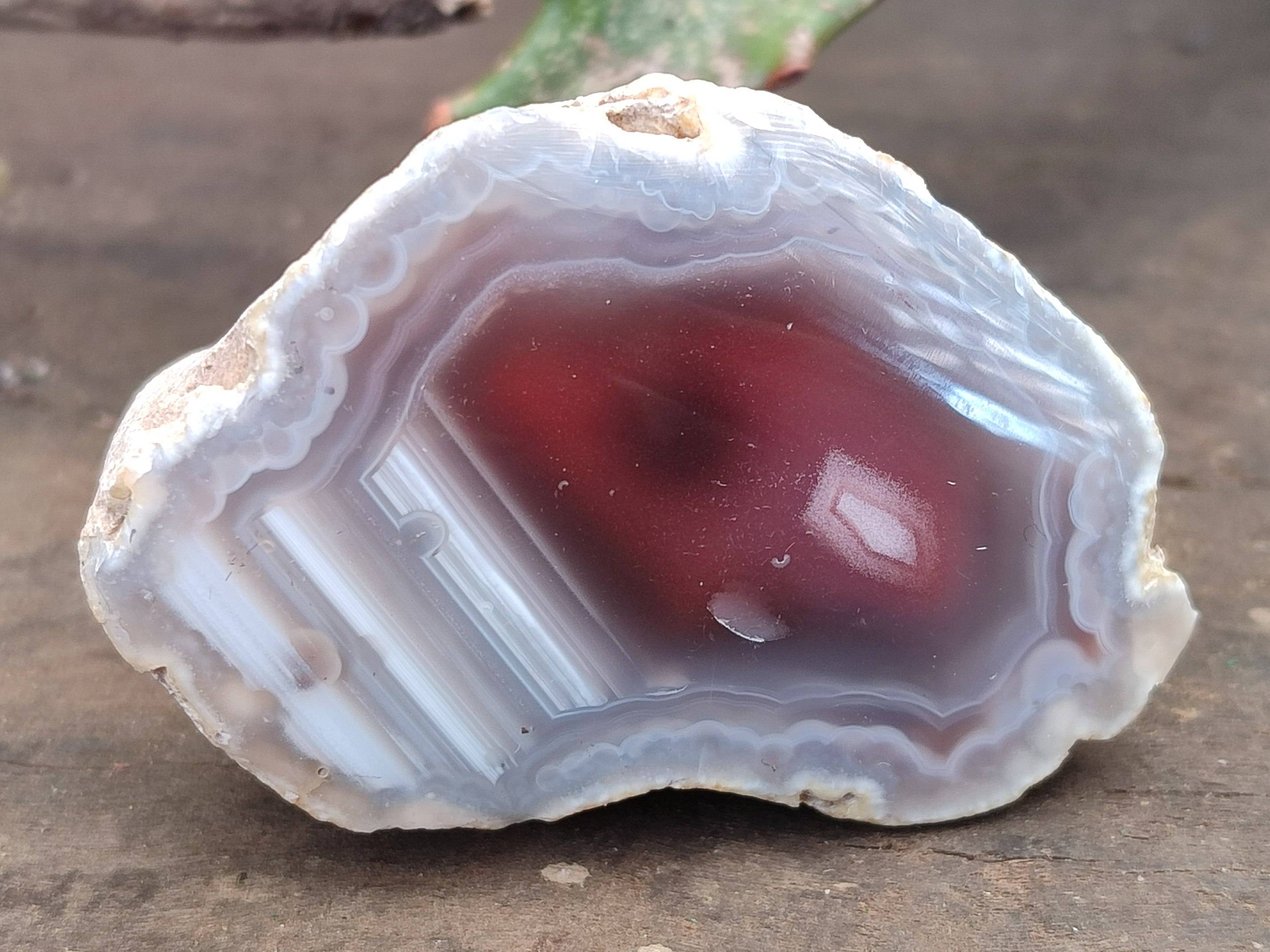 Polished On One Side Red Sashe River Agate Nodules x 20 From Zimbabwe - Toprock Gemstones and Minerals 