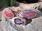 Polished On One Side Red Sashe River Agate Nodules x 20 From Zimbabwe - Toprock Gemstones and Minerals 