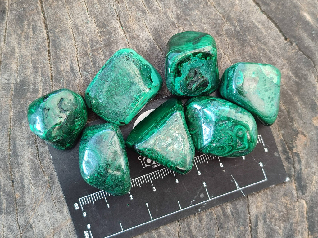 Polished Flower Banded Malachite Free Forms x 70 From Congo - Toprock Gemstones and Minerals 