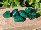 Polished Flower Banded Malachite Free Forms x 70 From Congo - Toprock Gemstones and Minerals 