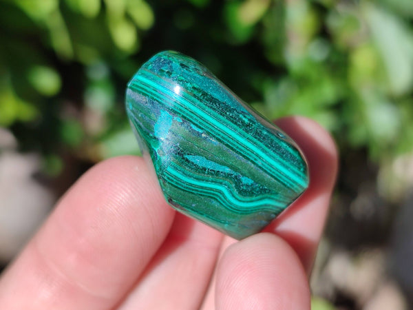 Polished Flower Banded Malachite Free Forms x 70 From Congo