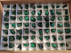 Polished Flower Banded Malachite Free Forms x 70 From Congo - Toprock Gemstones and Minerals 