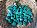 Polished Flower Banded Malachite Free Forms x 70 From Congo - Toprock Gemstones and Minerals 