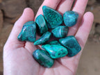 Polished Flower Banded Malachite Free Forms x 70 From Congo - Toprock Gemstones and Minerals 