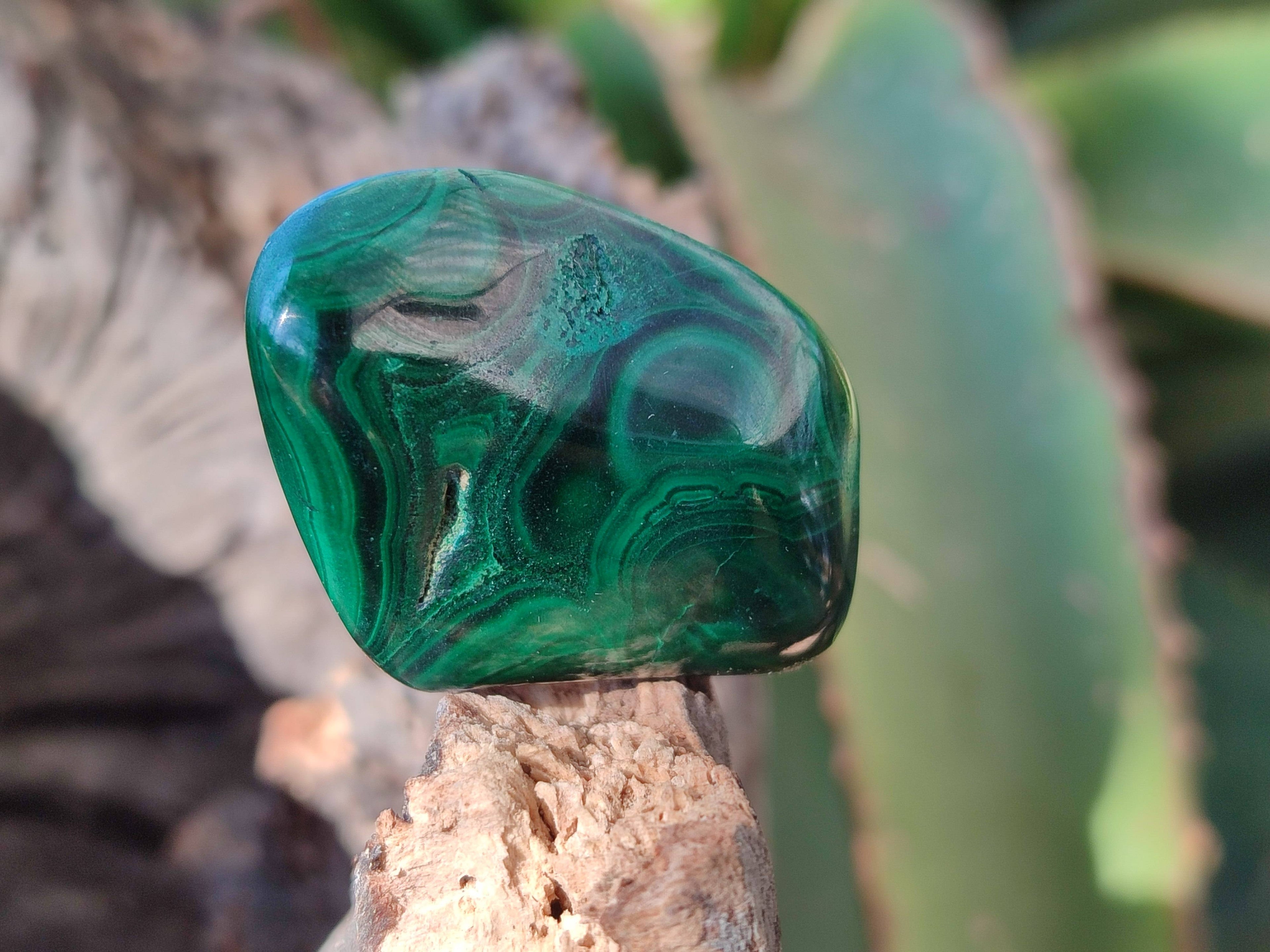 Polished Flower Banded Malachite Free Forms x 70 From Congo - Toprock Gemstones and Minerals 