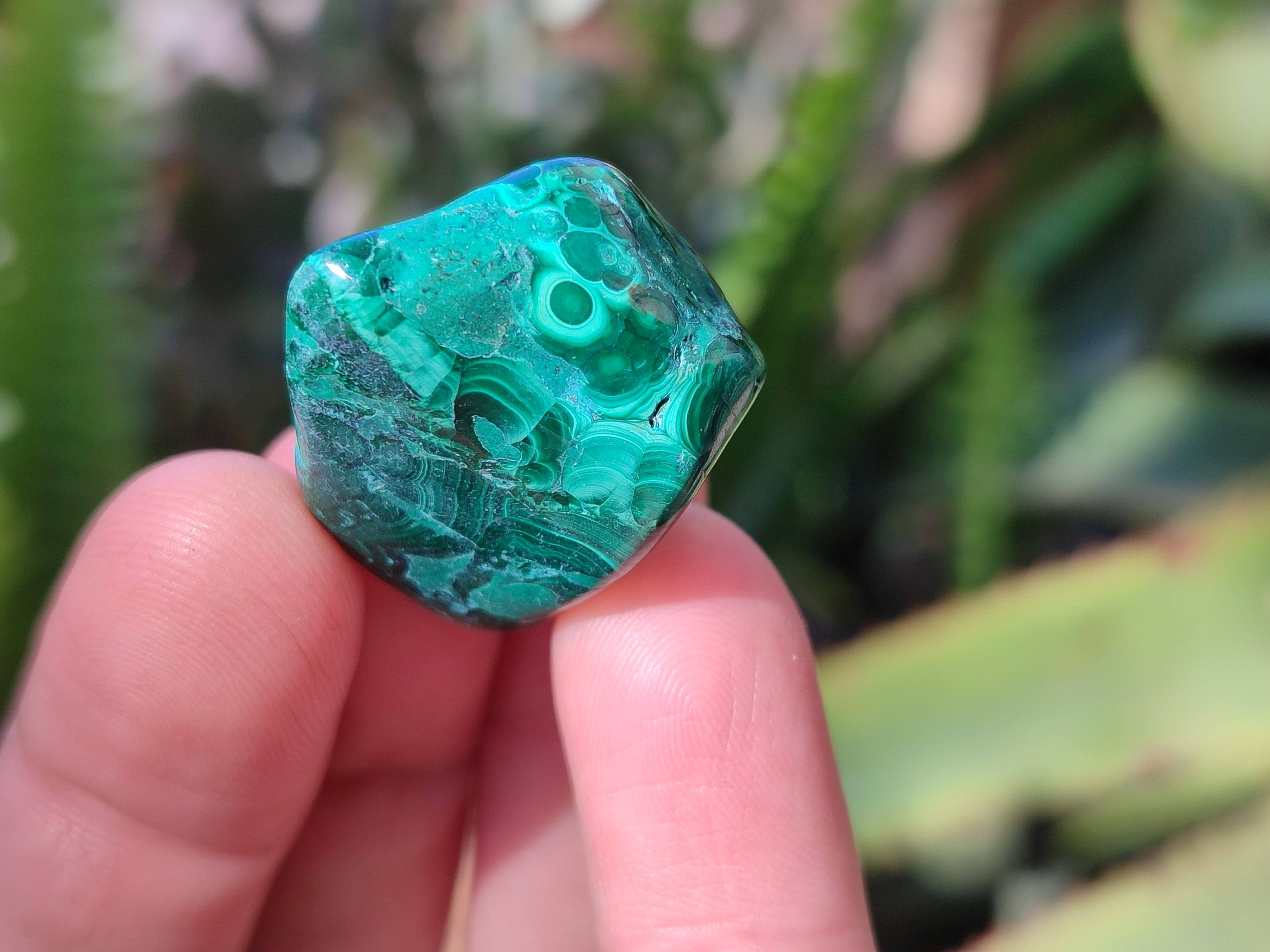 Polished Flower Banded Malachite Free Forms x 70 From Congo - Toprock Gemstones and Minerals 