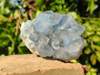 Natural Celestite Specimens x 6 From Sakoany, Madagascar