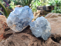 Natural Celestite Specimens x 6 From Sakoany, Madagascar