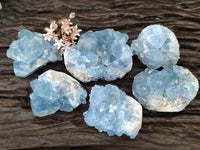Natural Celestite Specimens x 6 From Sakoany, Madagascar