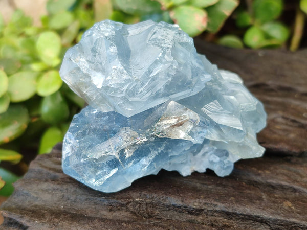 Natural Celestite Specimens x 6 From Sakoany, Madagascar