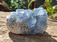 Natural Celestite Specimens x 6 From Sakoany, Madagascar