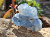 Natural Celestite Specimens x 6 From Sakoany, Madagascar